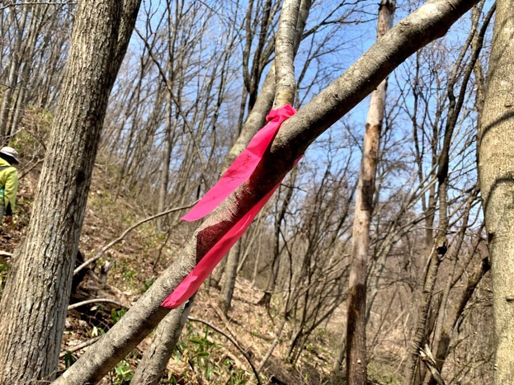赤いリボンをたよりに山頂を目指しましょう
