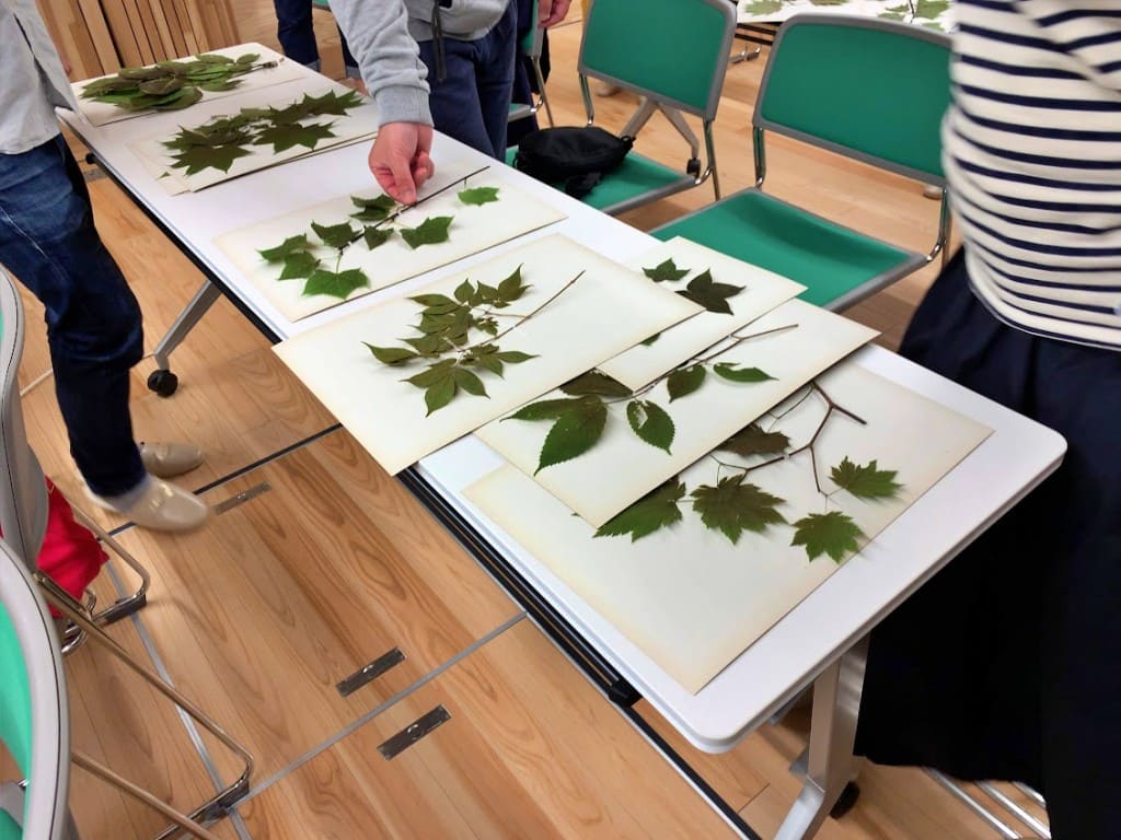 ワークショップの様子２