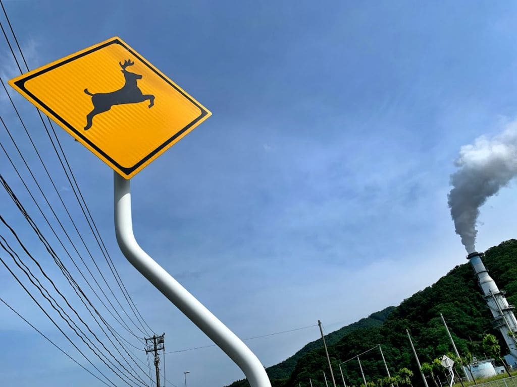 国道283号に設置された「動物が飛び出すおそれあり」標識