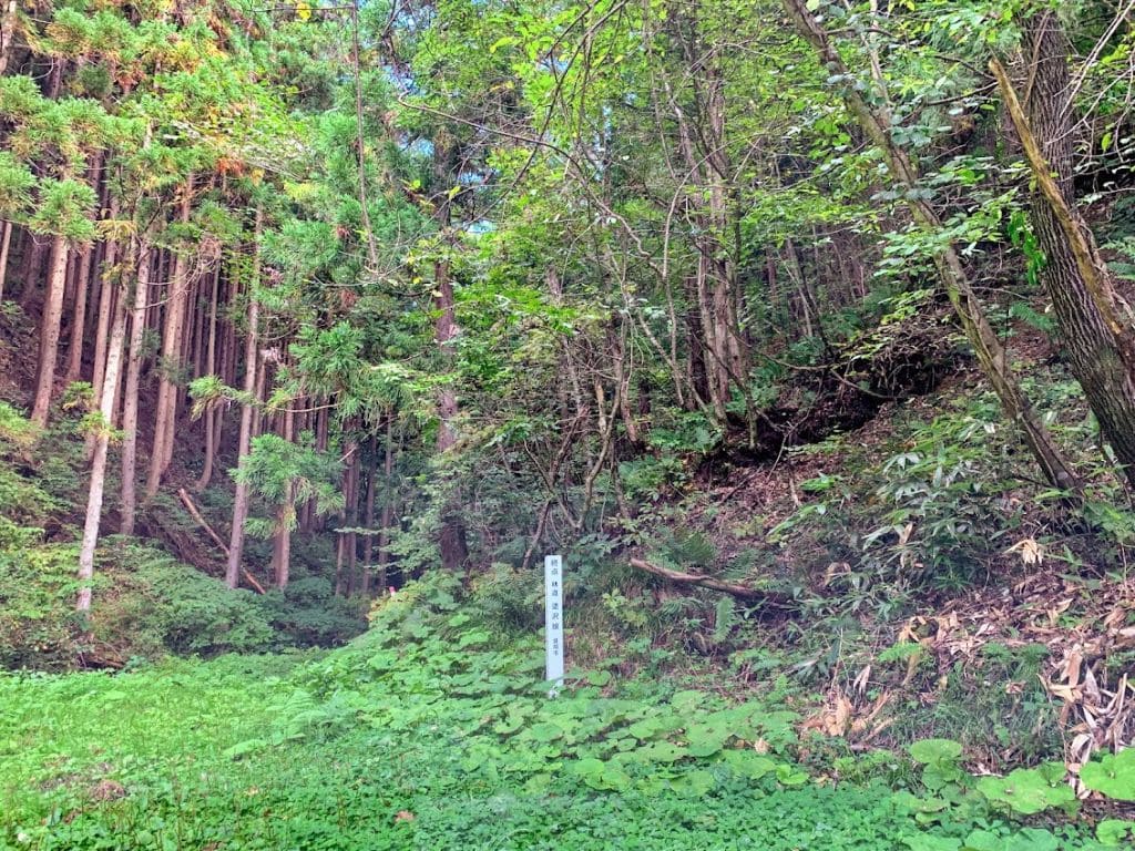 林道塗沢線終点