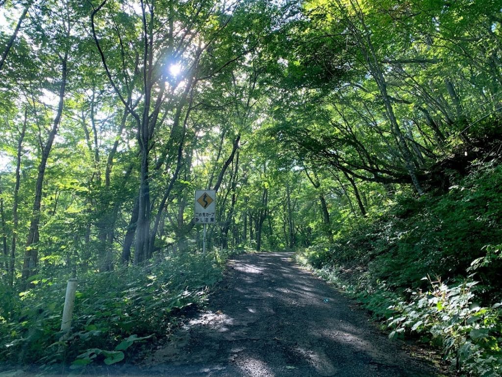 登山口までは微妙に酷道、険道だったりする