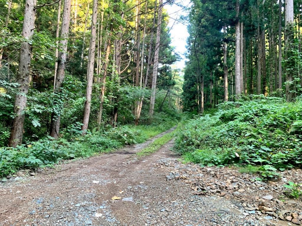 つなぎ温泉西側の登山道