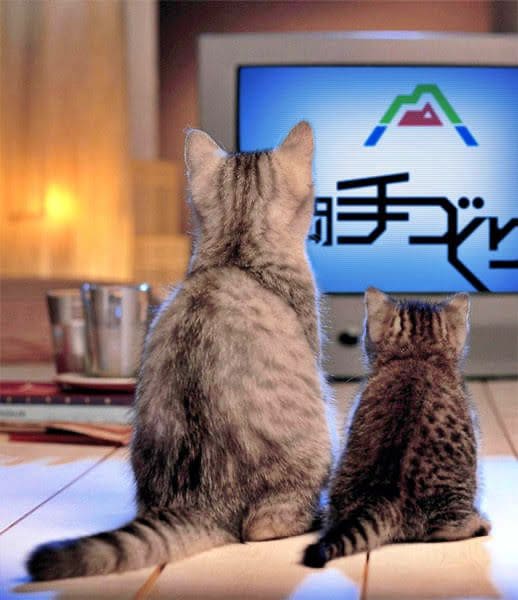 テレビのイメージ