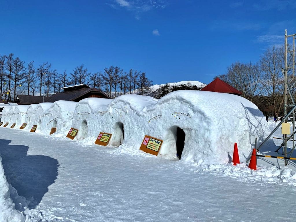 かまくら食堂 写真2