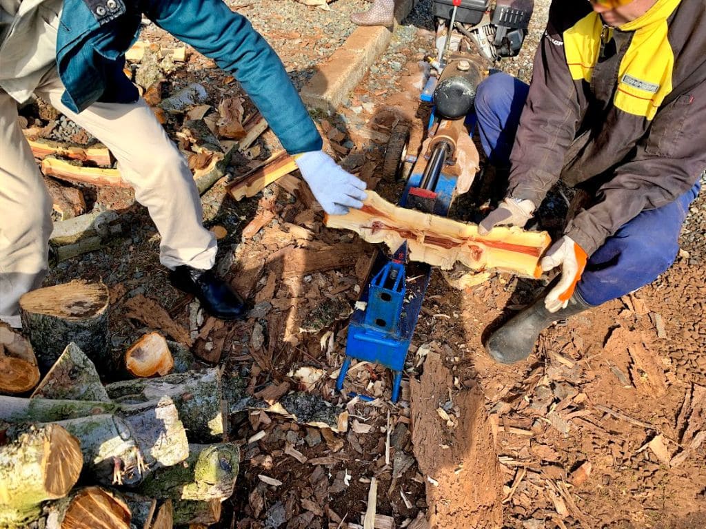 大ヶ生でりんごの木の薪割り3