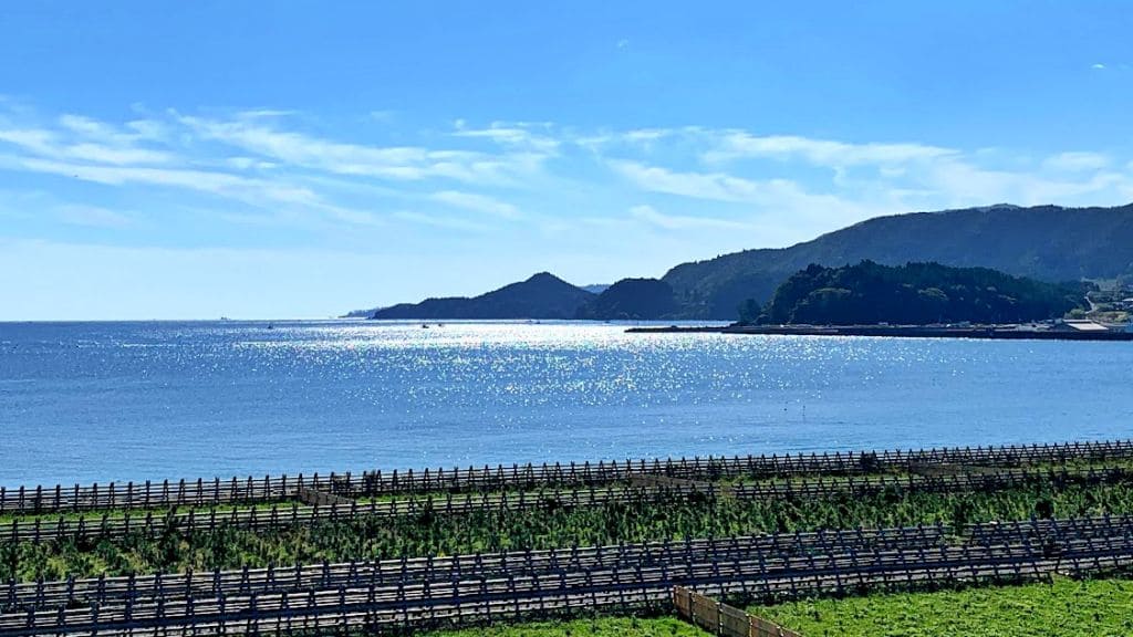 道の駅高田松原から見た風景