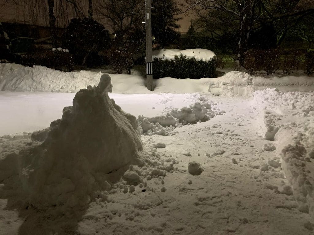 さすがに除雪機がほしいレベル2