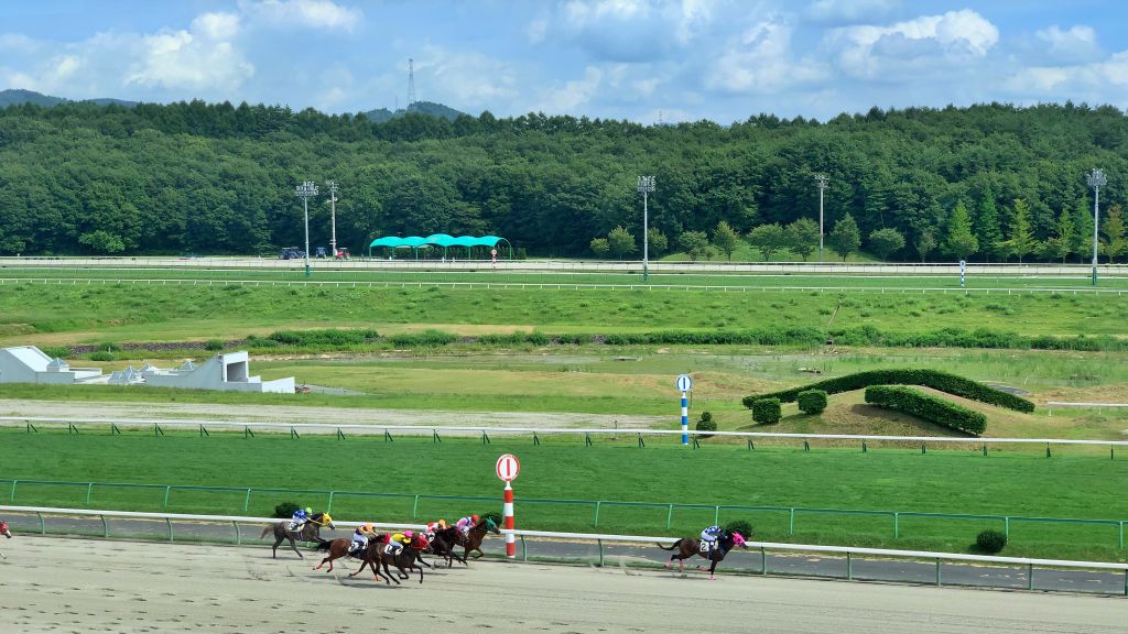 盛岡競馬場でのレースの様子