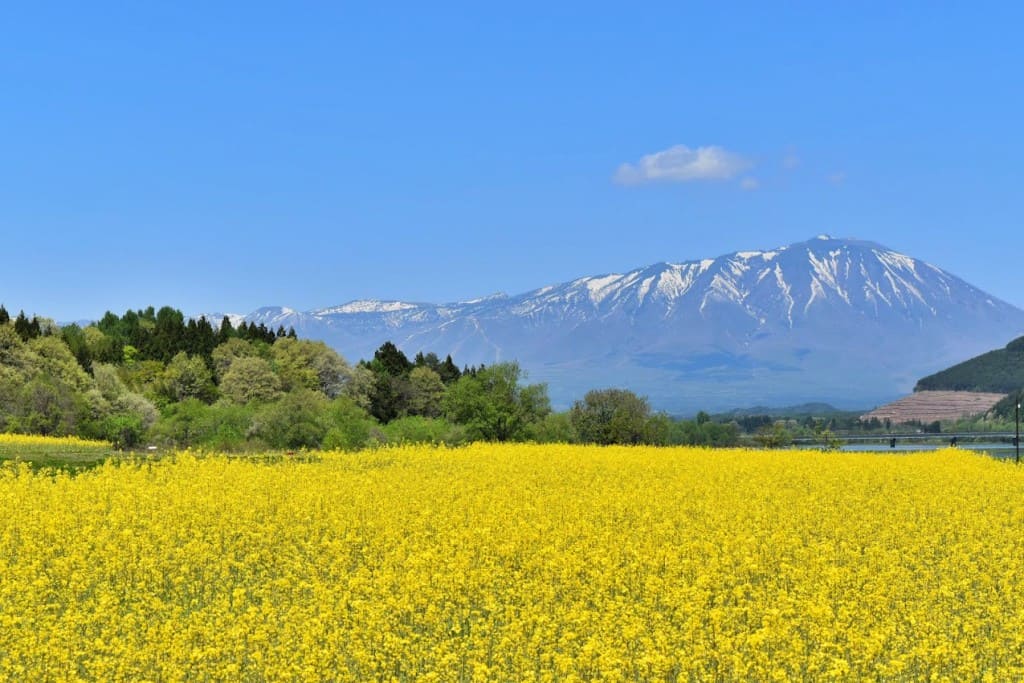 雫石町から見た岩手山（2019年5月撮影）
