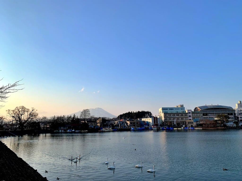 高松の池から見た岩手山（2019年3月撮影）