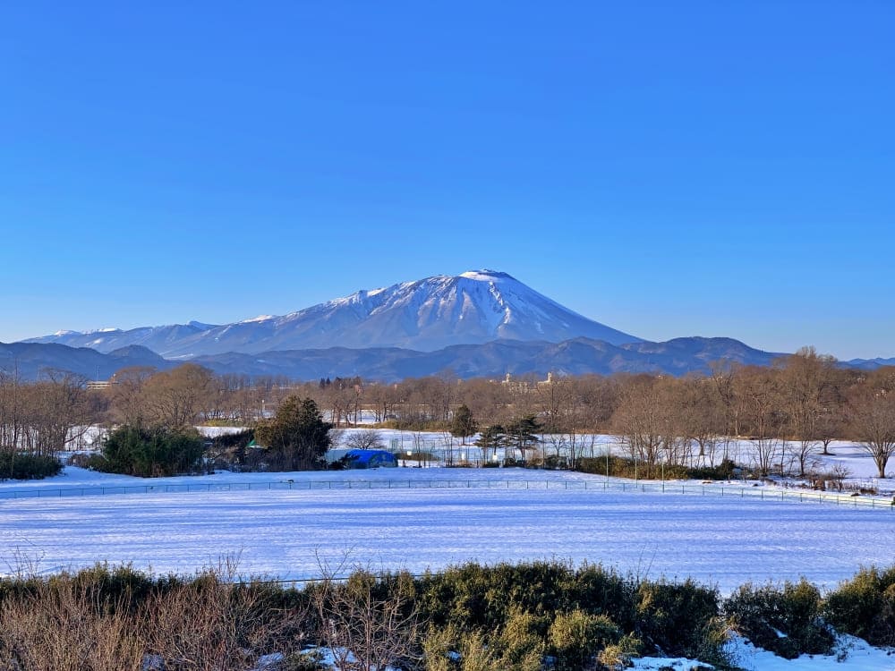 太田橋南西側から見た岩手山（2021年3月撮影）