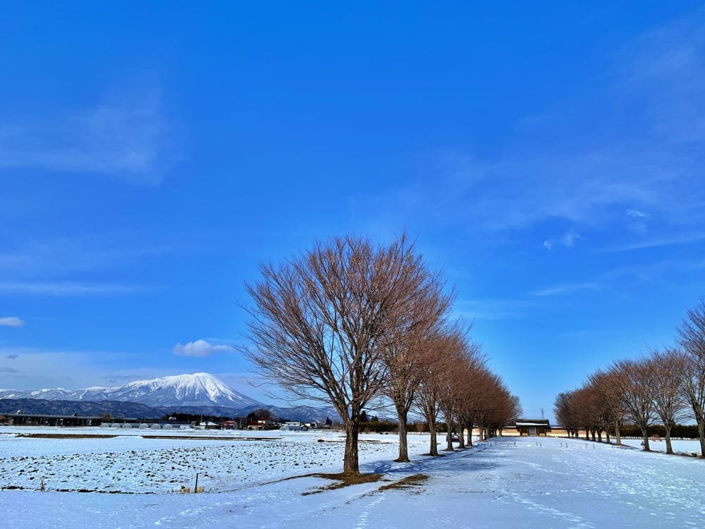 志波城古代公園から見た岩手山２（2020年2月撮影）