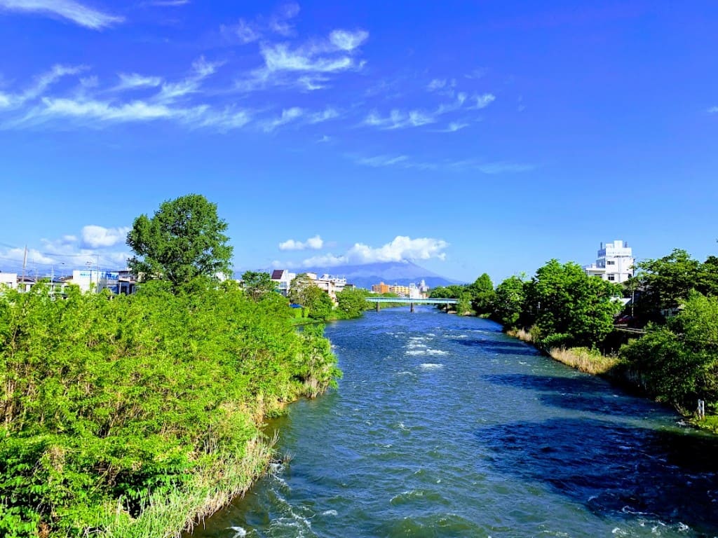 2019年5月撮影