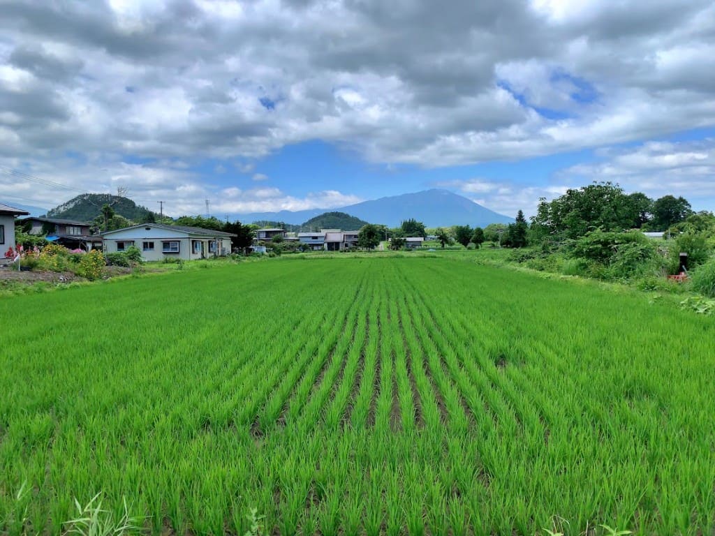 尾入野地区の田園風景
