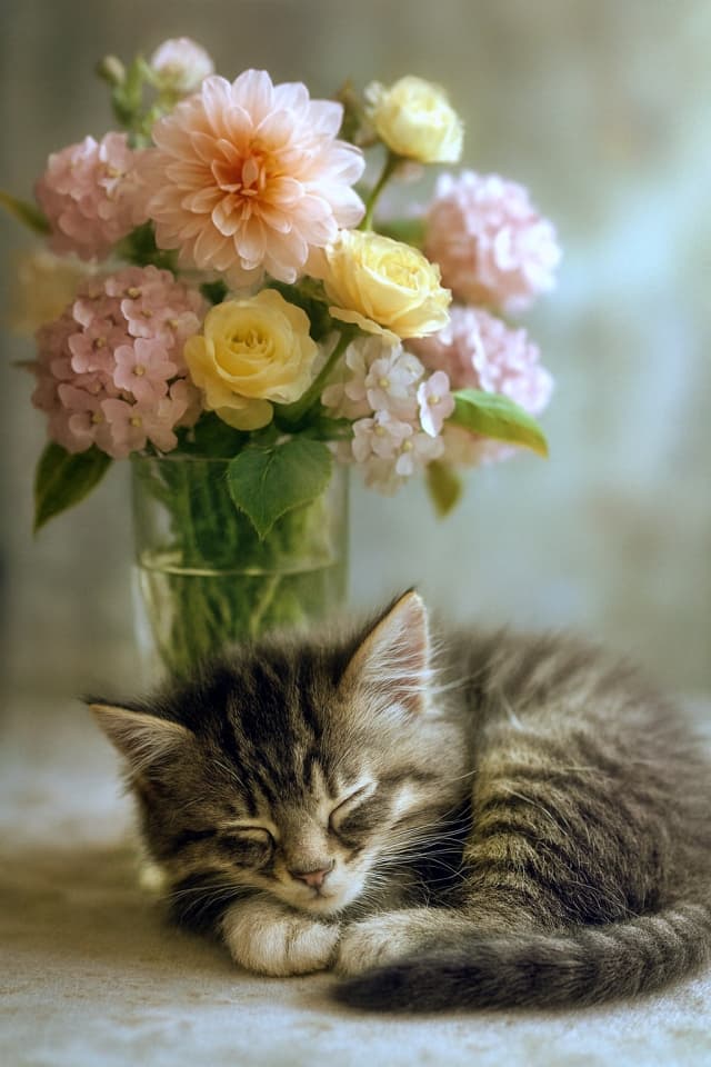 花の入ったガラス花瓶の影で丸くなって眠る子猫