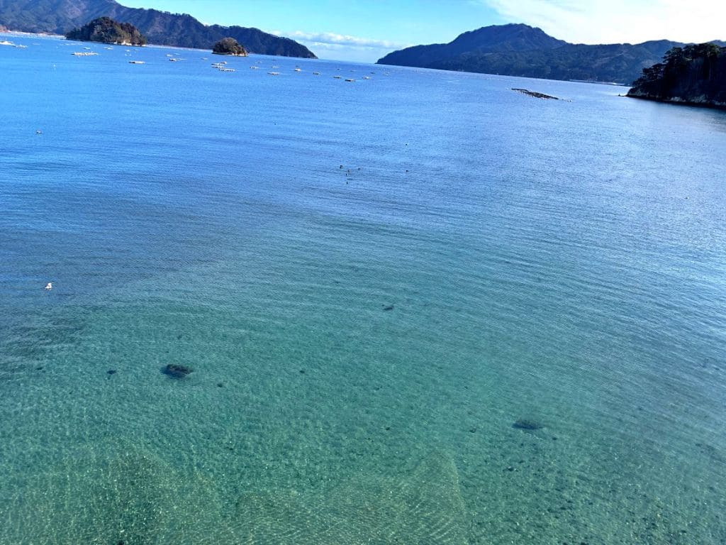 織笠川河口付近