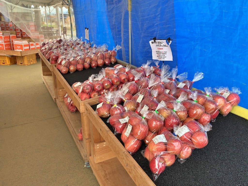 わけありじゃないりんごも多数販売