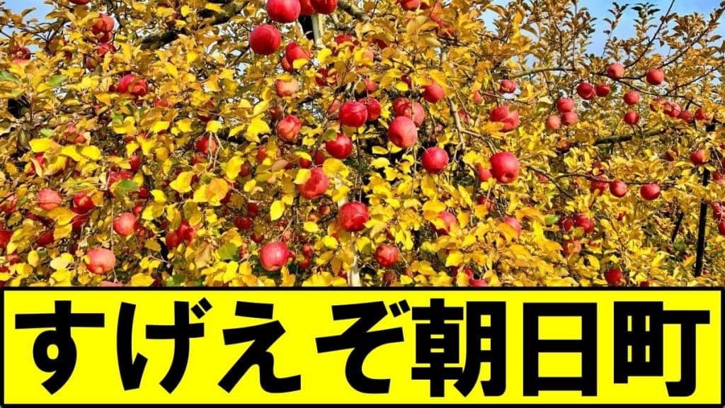 【すげえぞ朝日町】人口7000人の小さな町が山形りんごの海外販路拡大に成功した理由