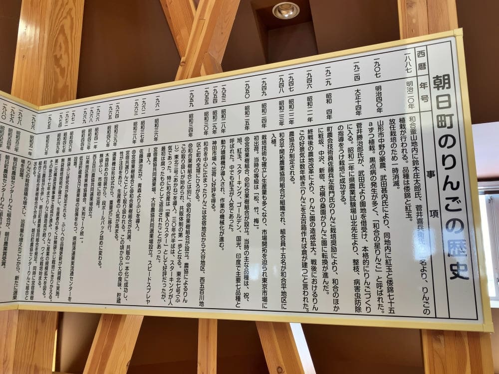 辻野あかりも大好き　山形県朝日町のりんごの歴史年表（右半分）