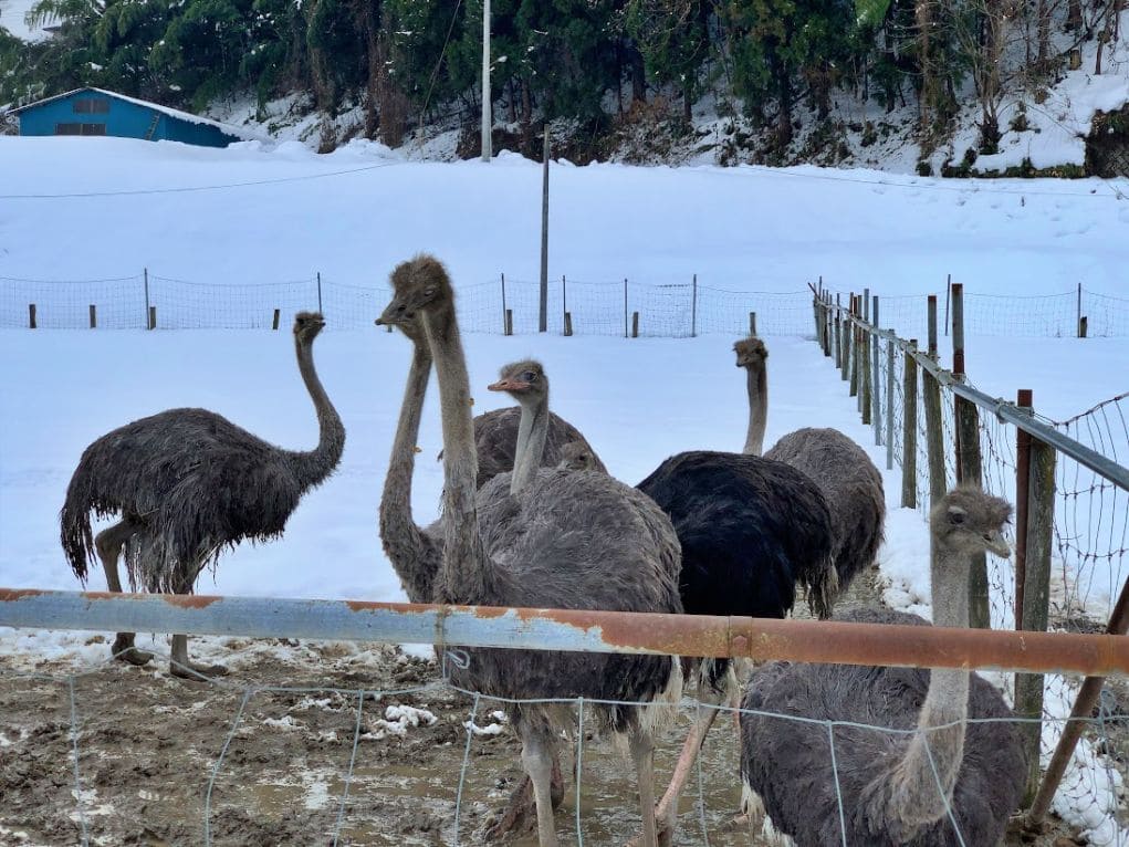 朝日町健康工房ロイフェンにて2